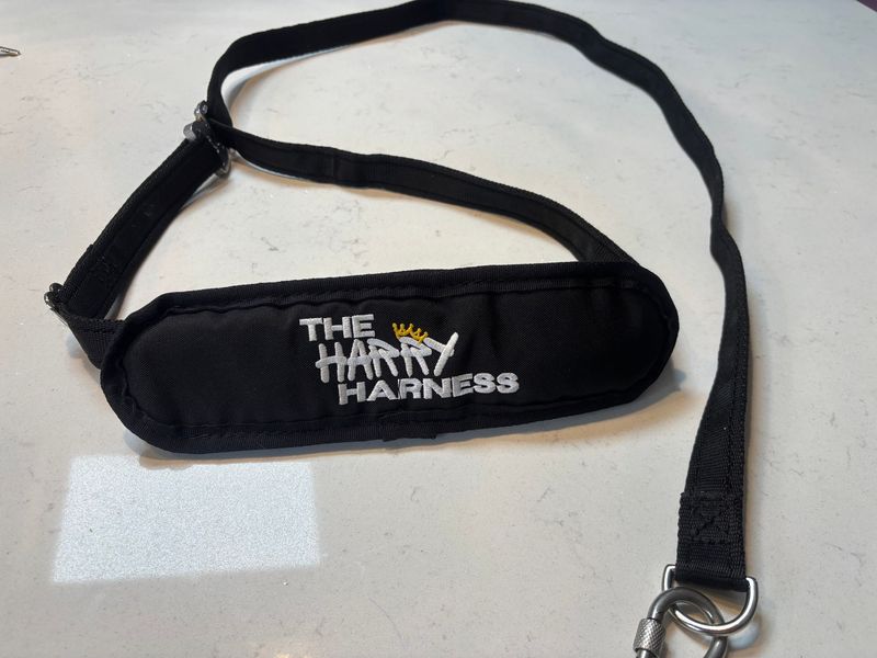 The Harry Harness (Supporter Strap)