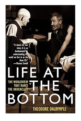 Life at the Bottom : The Worldview That Makes the Underclass
