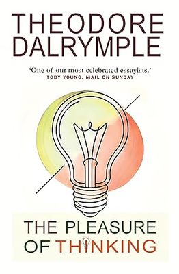 The Pleasure of Thinking: The Serindipity of Ideas: A Journey Through the Sideways Leaps of Ideas