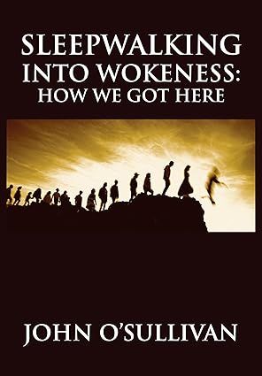 Sleepwalking into Wokeness: How we got here -Hardback