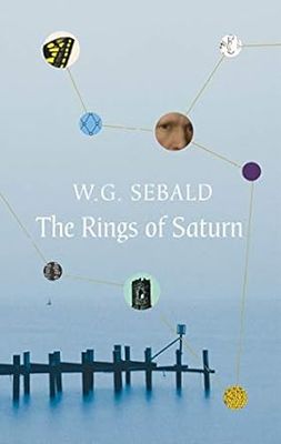The Rings Of Saturn (Vintage Classics)