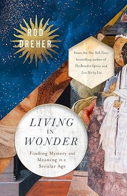 Living in Wonder: Finding Mystery and Meaning in a Secular Age -Hardcover