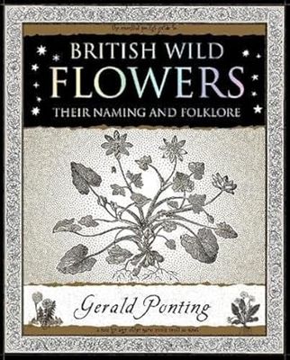 British Wild Flowers: Their Naming and Folklore