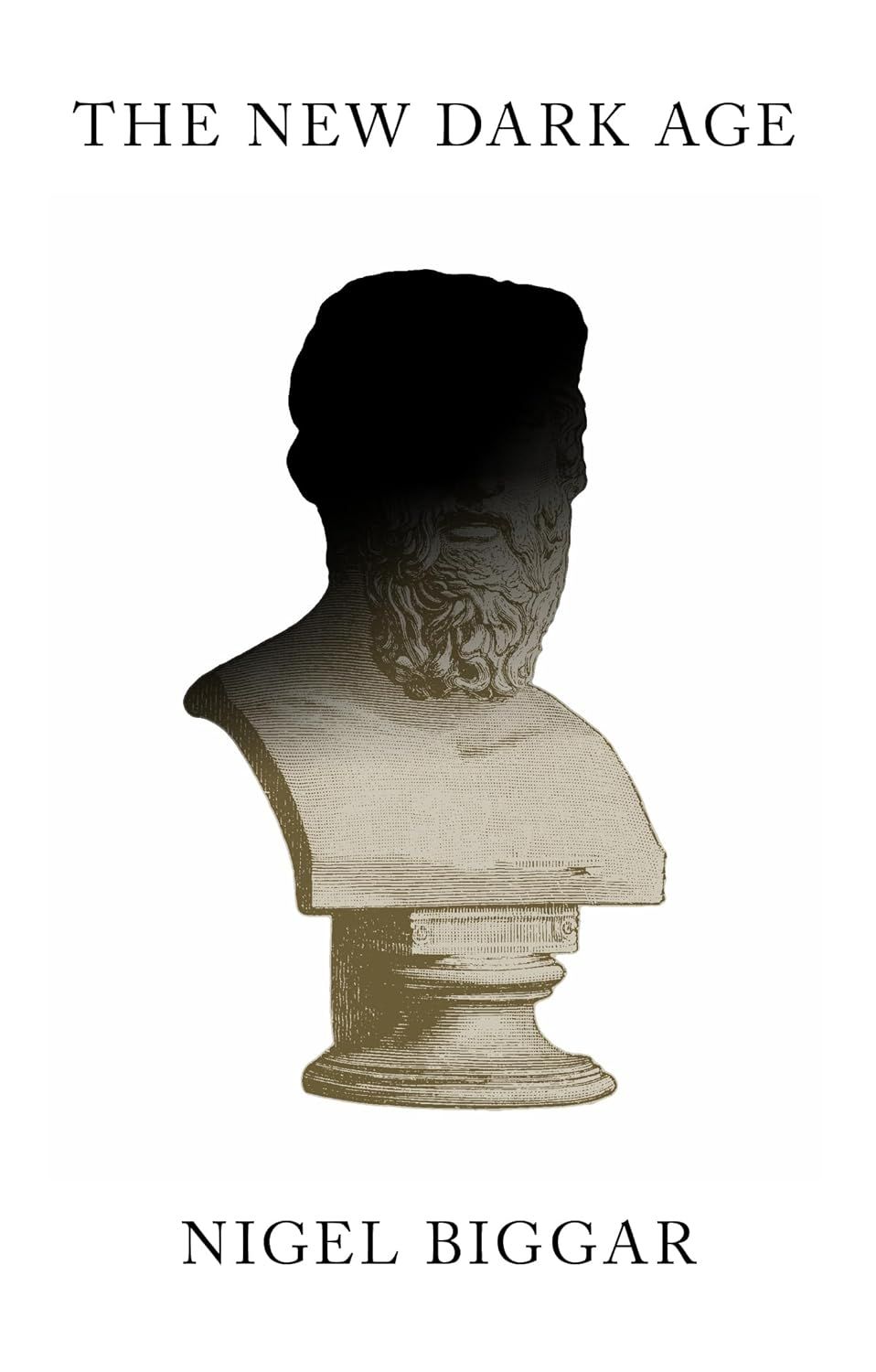 The New Dark Age: Why Liberals Must Win the Culture Wars - Hardcover