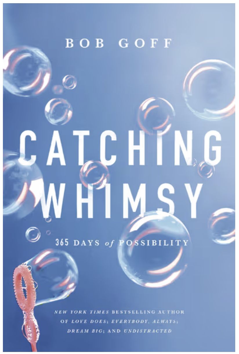 Catching Whimsy: 365 Days of Possibility
