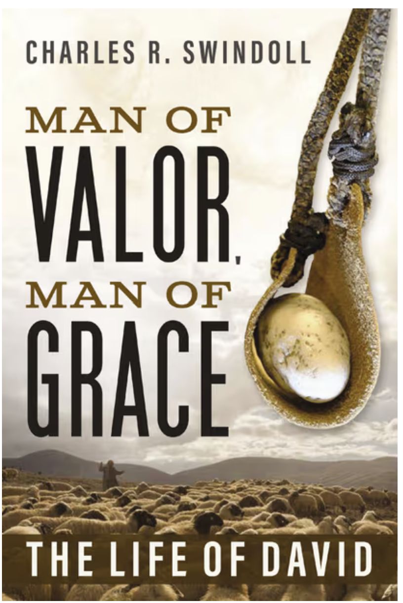 Man of Valor, Man of Grace: The Life of David