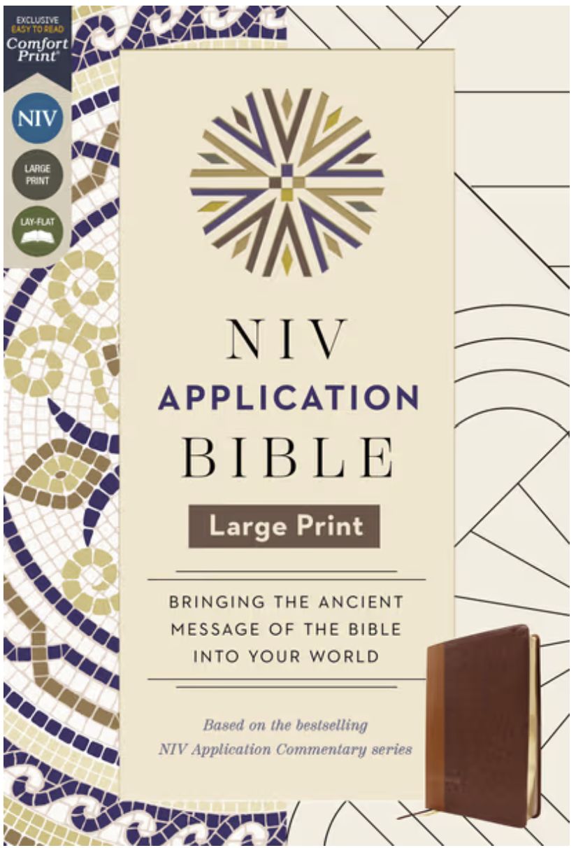 NIV APPLICATION BIBLE LARGE PRINT COMFORT PRINT (2)