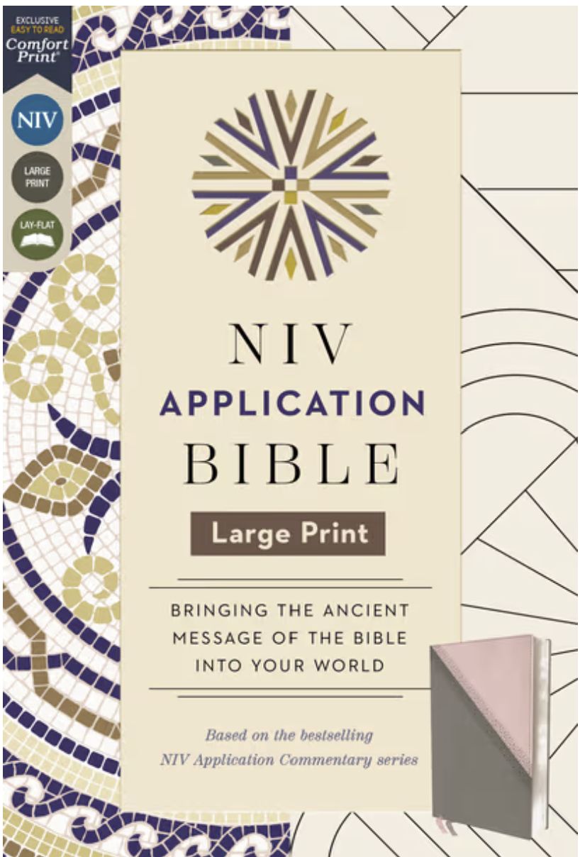 NIV APPLICATION BIBLE LARGE PRINT COMFORT PRINT (3)