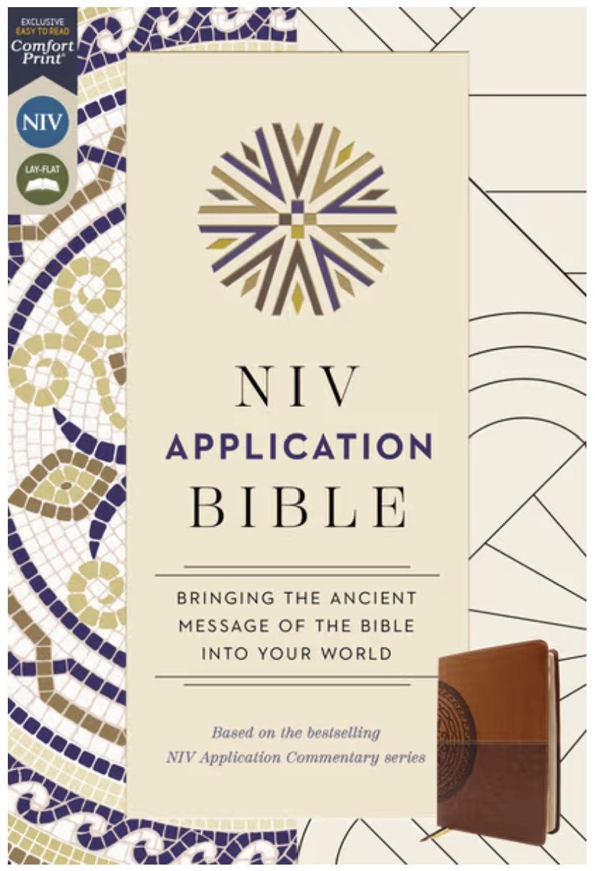 NIV APPLICATION BIBLE COMFORT PRINT (3)
