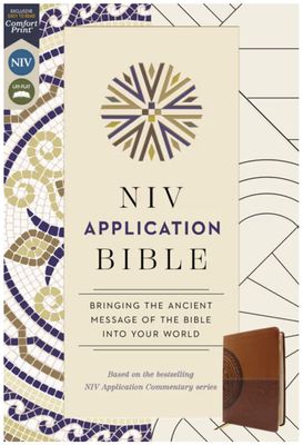NIV Application Bible, Leathersoft, Coral/Gray, Red Letter, Comfort Print