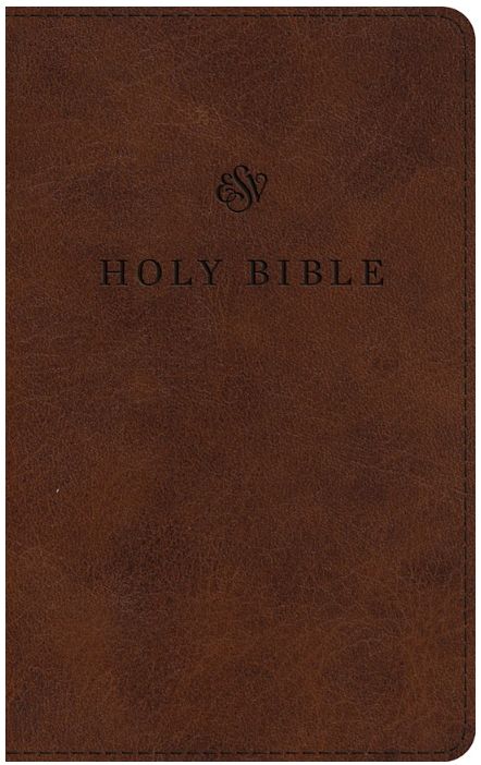 ESV Large Print Premium Church Bible-Brown TruTone
