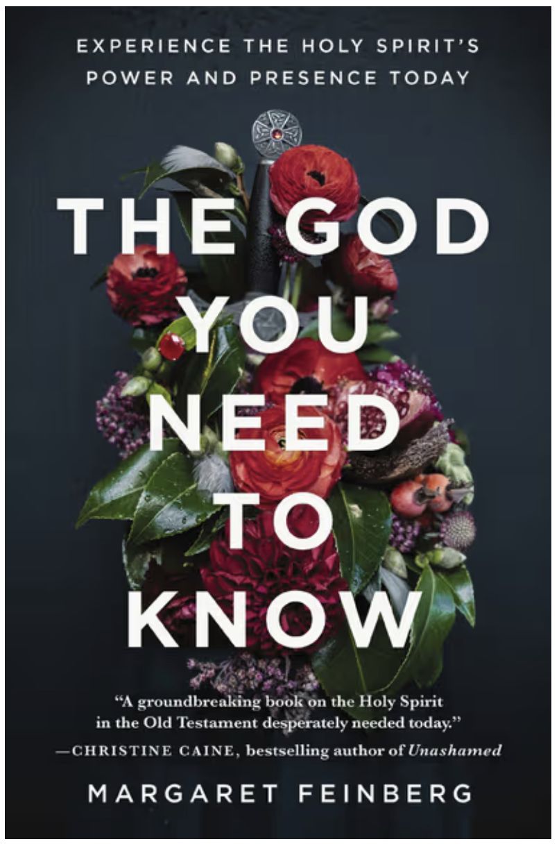 The God You Need to Know: Experience the Holy Spirit&#39;s Power and Presence Today