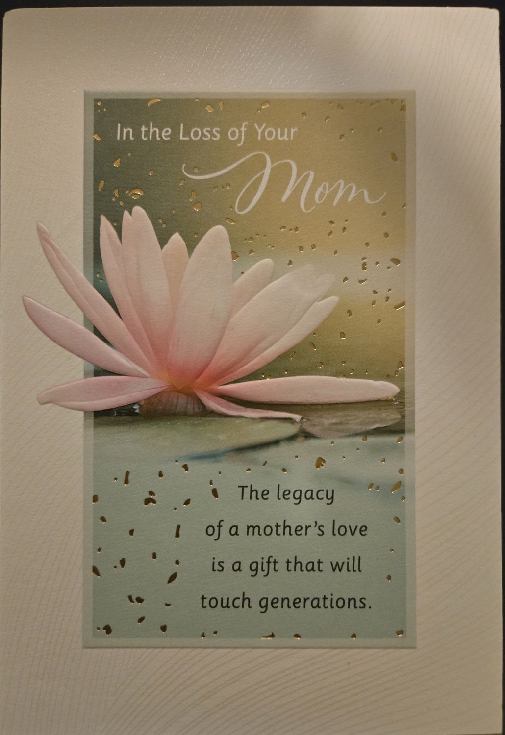 In the Loss of Your Mom U4320