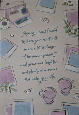 Friendship U4313