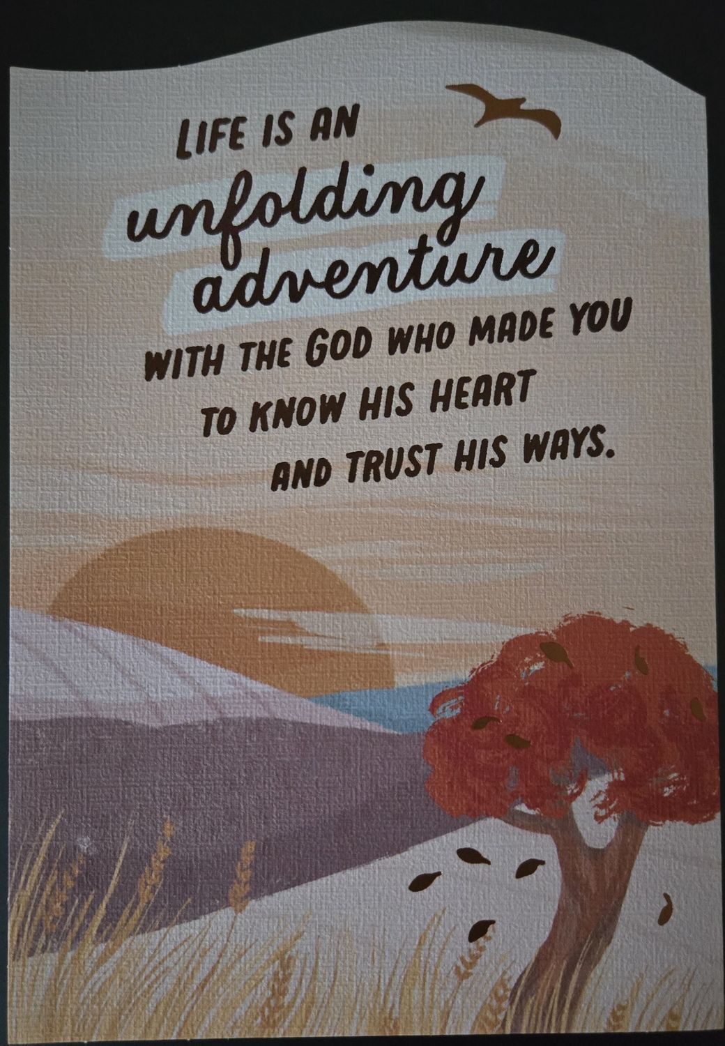 Congratulations U4308