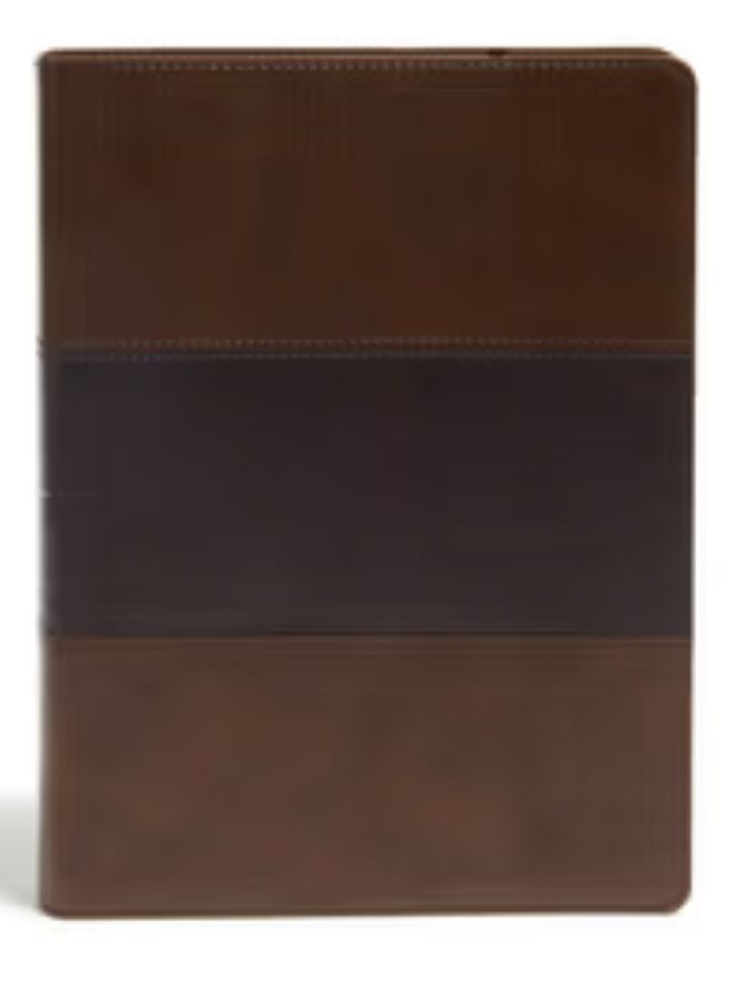 KJV Study Bible, Full-Color, Saddle Brown Leathertouch