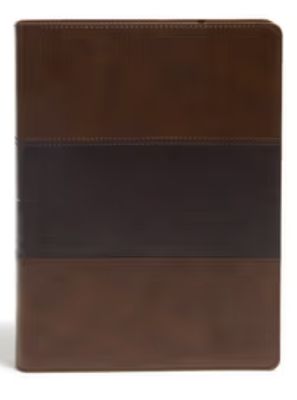 KJV Study Bible, Full-Color, Saddle Brown Leathertouch