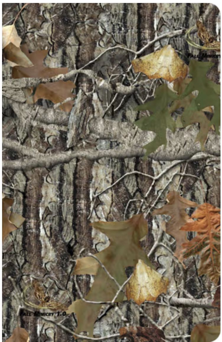 Sportsman's Bible-KJV-Large Print