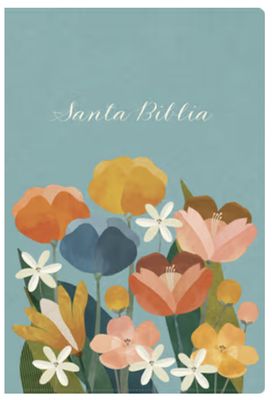 RVR 1960 Biblia Letra Grande Tamaño Manual Edición Especial, Aqua, Símil Piel