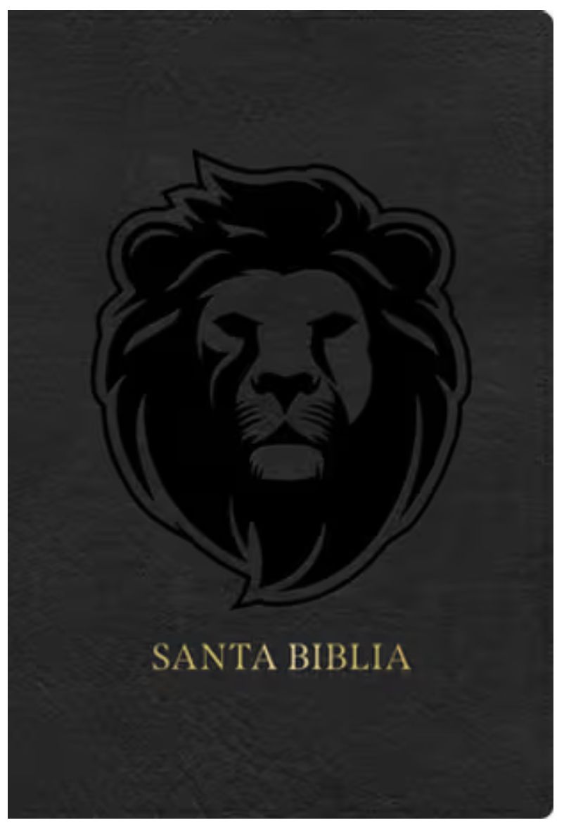 RVR 1960 Biblia Letra Grande Tamaño Manual Edición Especial, Ceniza, Símil Piel