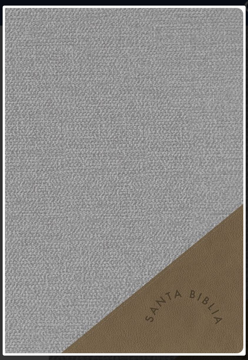 RVR 1960 Biblia Letra Super Gigante Gris