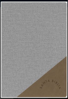 RVR 1960 Biblia Letra Super Gigante Gris Con Índice