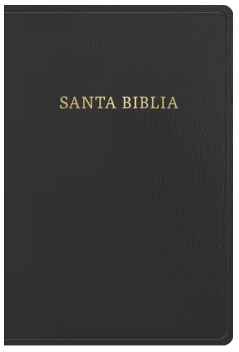 RVR 1960 Biblia Letra Gigante, Negro Imitación Piel (Edición 2023) Con Referencias. Nueva Tipografía