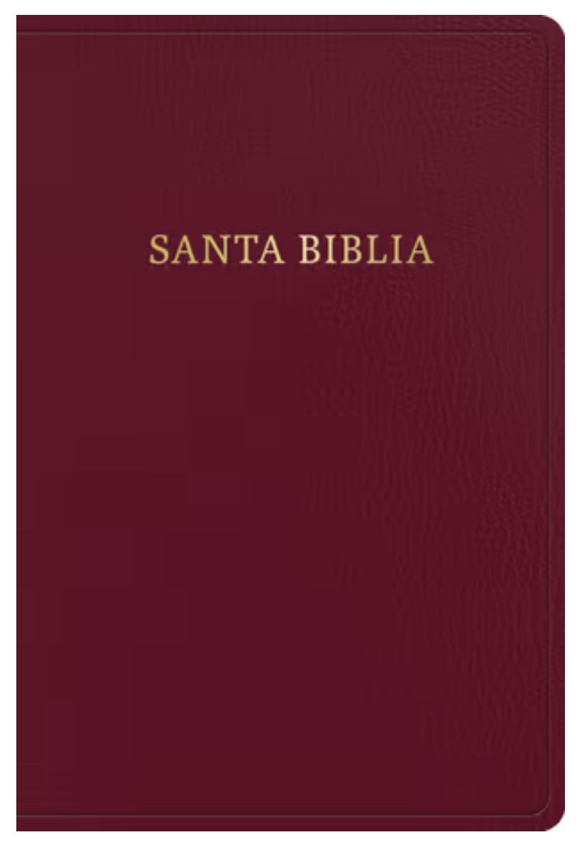 RVR 1960 Biblia Letra Gigante, Borgoña Imitación Piel Con Índice