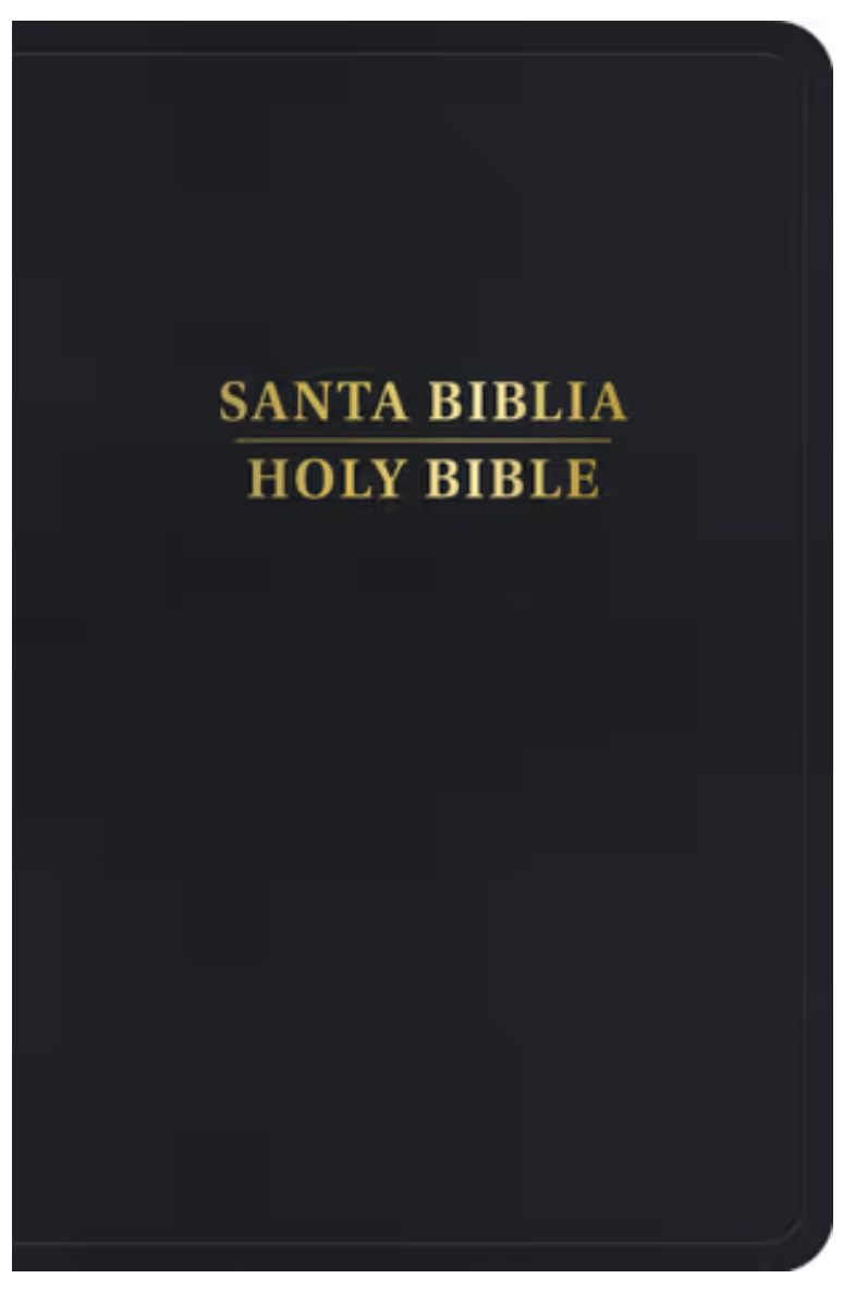 RVR 1960/KJV Biblia Bilingüe Tamaño Personal, Negro Imitación Piel Con Índice