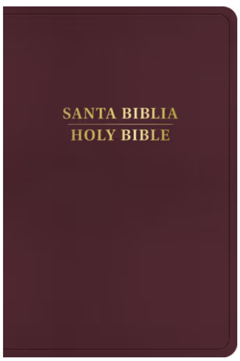 RVR 1960/KJV Biblia Bilingüe, Borgoña Imitación Piel