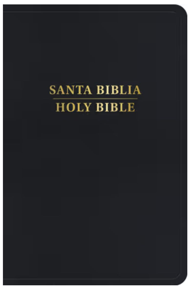 RVR 1960/KJV Biblia Bilingüe Tamaño Personal, Negro Imitación Piel