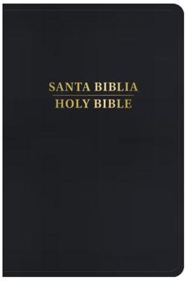 RVR 1960/KJV Biblia Bilingüe, Negro Imitación Piel