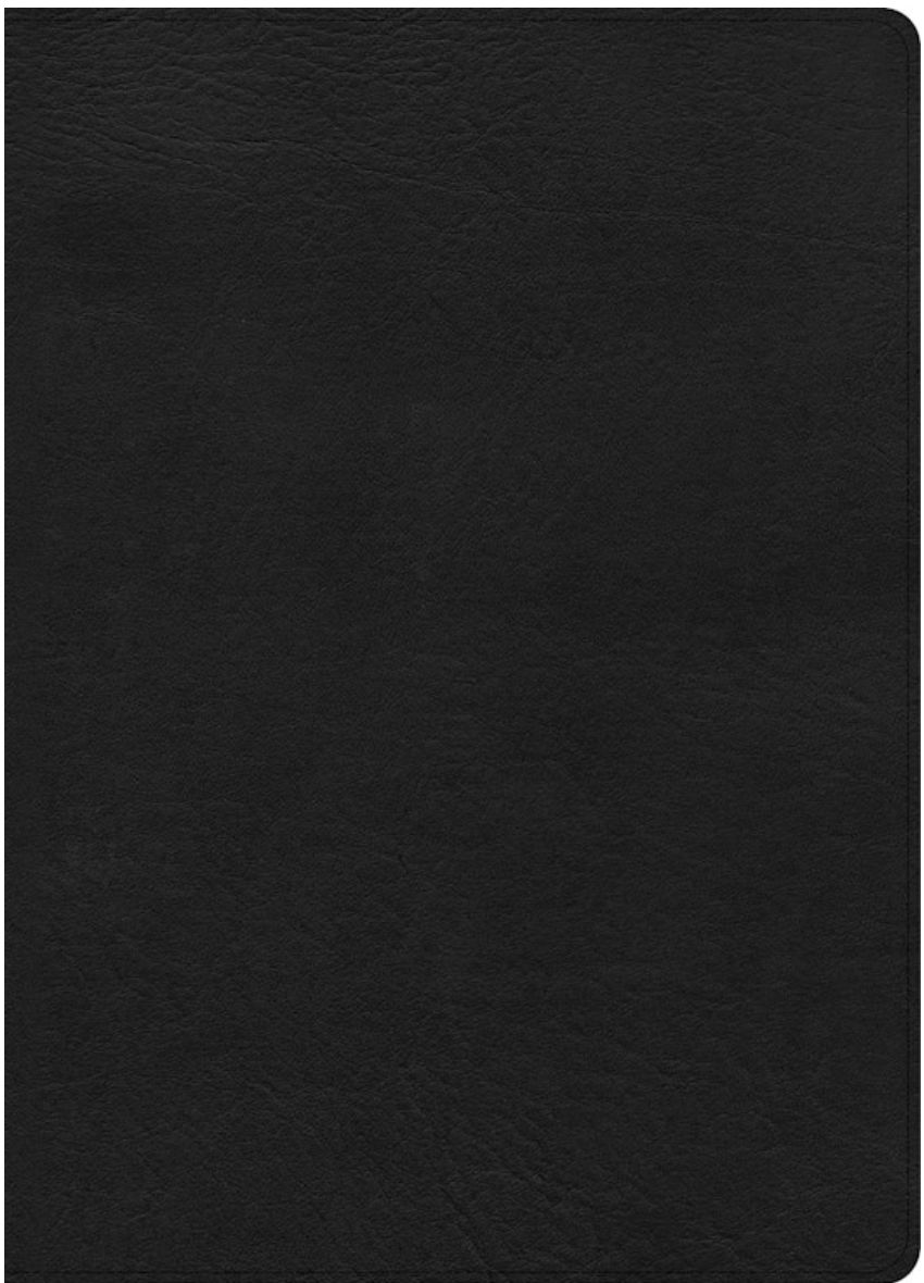 CSB Study Bible Large Print, Digital Study Edition Black LeatherTouch
