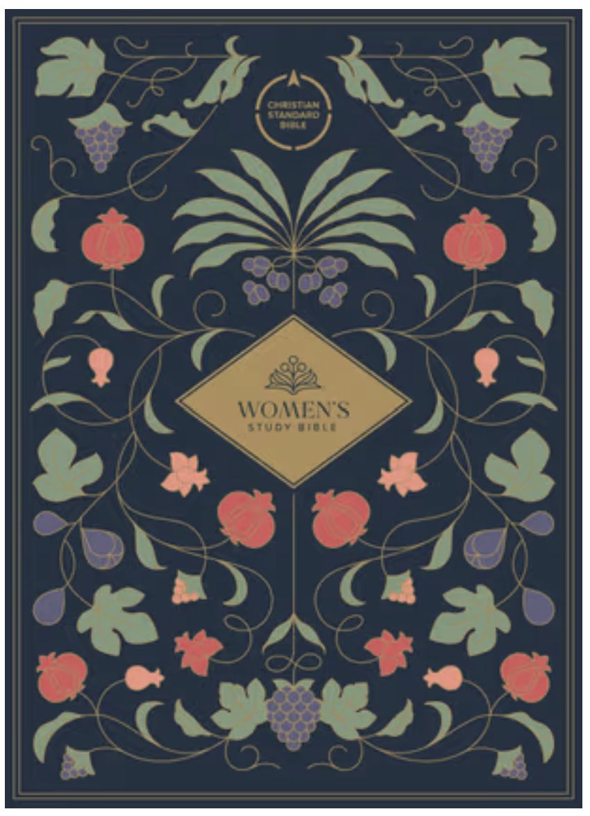 CSB Women's Study Bible, Earthen Teal Suedesoft Leathertouch