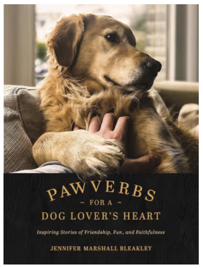 Pawverbs for a Dog Lover&#39;s Heart: Inspiring Stories of Friendship, Fun, and Faithfulness