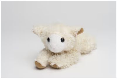 Musical Lamb Teddy Bear