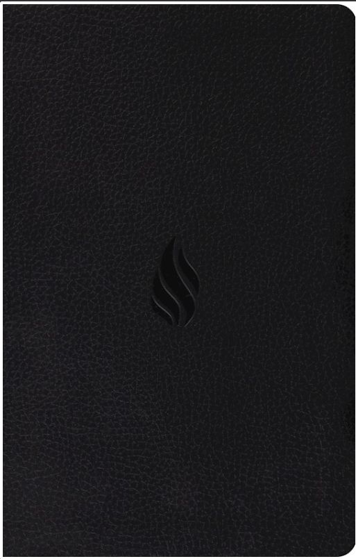 Premium Gift Bible, ESV  Midnight Flame TruTone