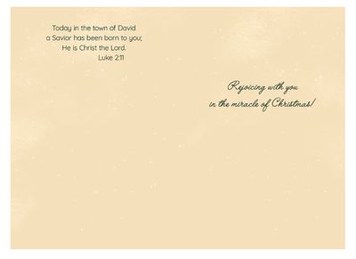 Glad Tidings of Great Joy Christmas Boxed Cards 10Pk