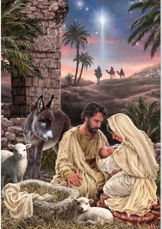 Bless Your World with Luke 2:11 Christ is Born Christmas Boxed Card 10Pk
