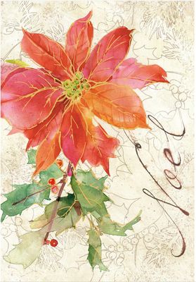 Noel &amp; Poinsettia Boxed Christmas Card 20 Pk