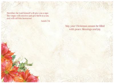 Noel &amp; Poinsettia Boxed Christmas Card 20 Pk