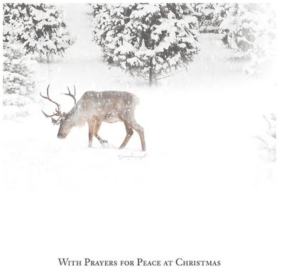 Glory To God Christmas Boxed Card 10 Pk
