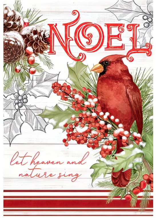 Peace Hope and Joy Cardinal in Pine Scripture Boxed Christmas Card 10 pk