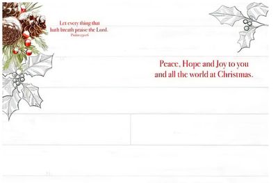 Peace Hope and Joy Cardinal in Pine Scripture Boxed Christmas Card 10 pk