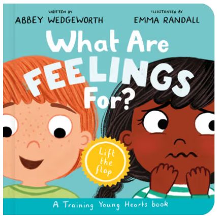 What Are Feelings For? Board Book A Lift-The-Flap Board Book
