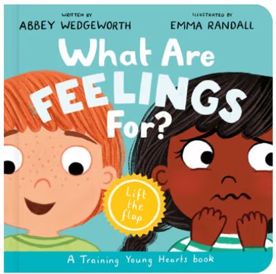 What Are Feelings For? Board Book A Lift-The-Flap Board Book