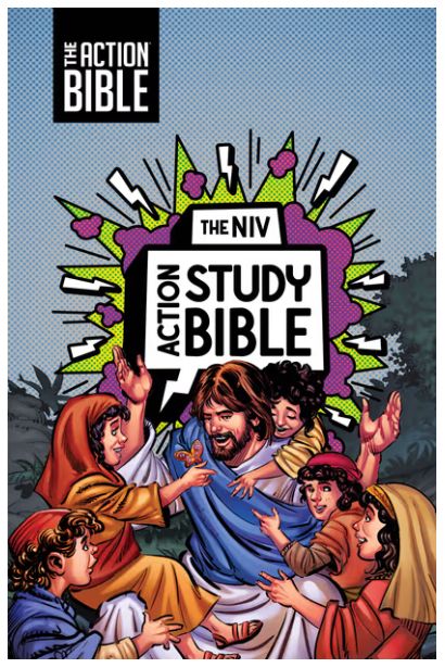 The NIV Action Study Bible, Leathersoft, Gray, Full Color