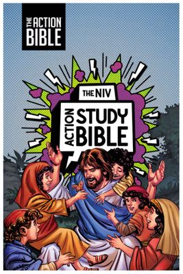 The NIV Action Study Bible, Leathersoft, Gray, Full Color