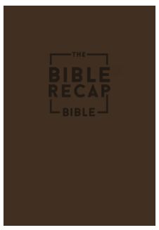 The Bible Recap 365-Day Chronological Study Bible: English Standard Version - Imitation Leather