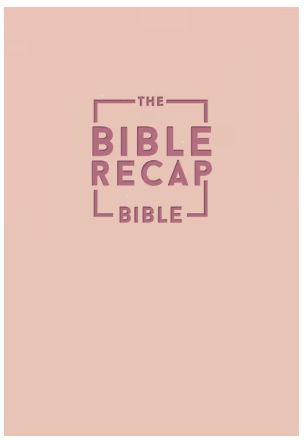 The Bible Recap 365-Day Chronological Study Bible English Standard Version - Imitation Leather, Pink